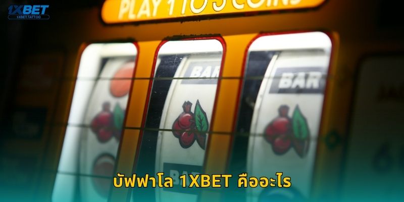 บัฟฟาโล 1xbet คืออะไร